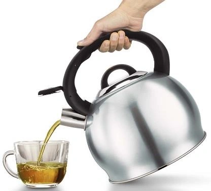 Berlinger Haus 3L Whistling Kettle - Steel
