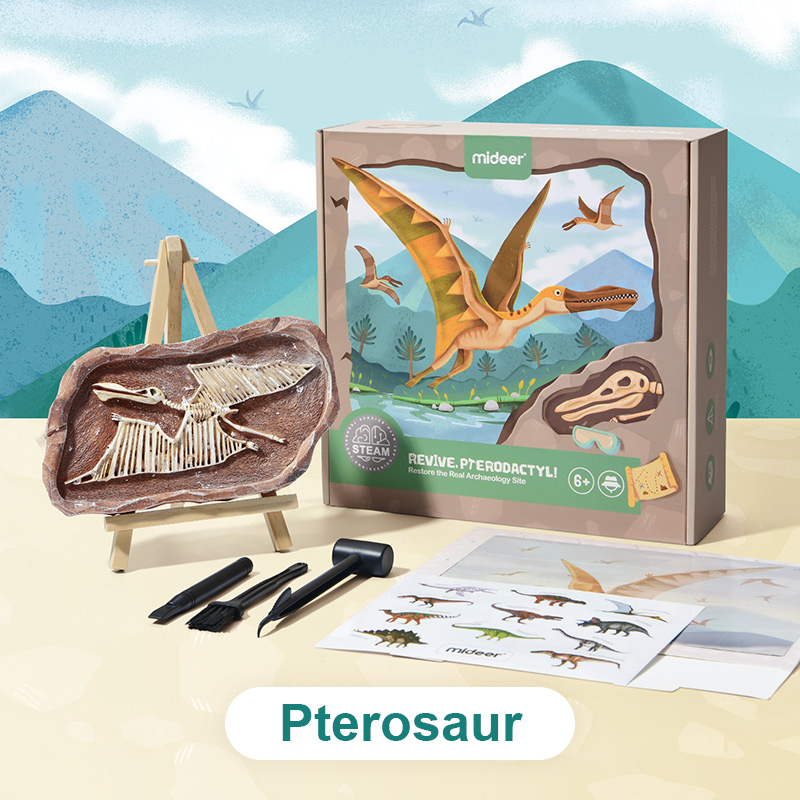 Mideer - Steam Game Revive Pterosaur - Age 6+