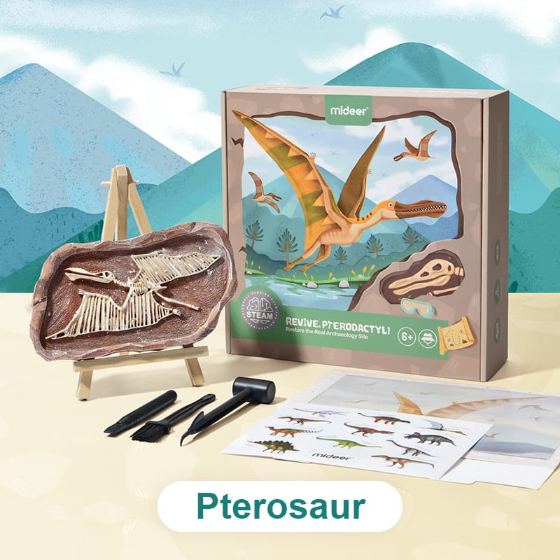 Mideer - Steam Game Revive Pterosaur - Age 6+